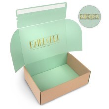 Raine And Bae Self Seal Postal Boxes
